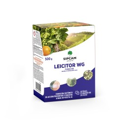 LEICITOR FOSETIL AL WG