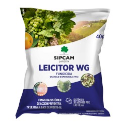 LEICITOR FOSETIL AL WG