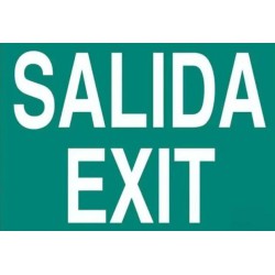 SEÑAL LUMINISCENTE SALIDA EXIT  297 X 210