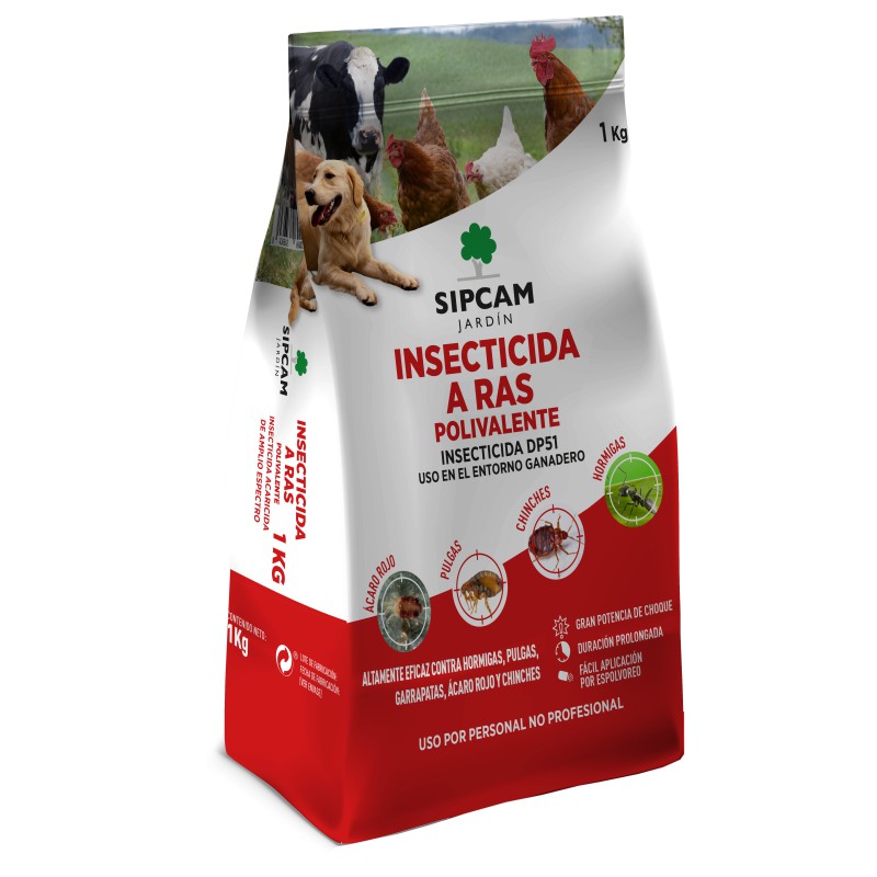 Insecticida en Polvo A Ras: Efecto Choque contra Hormigas y Cucarachas