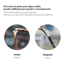 Cinta Injertar Elástica 3cm x 100m - Cinta PVC para Injertos Frutales