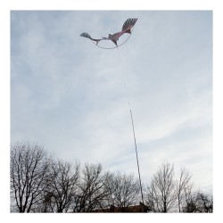 Espantapájaros Halcón Volador  - Mástil 3.7m